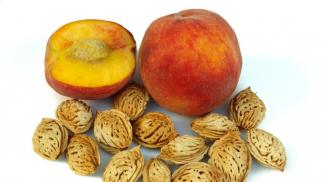 Benefits and harms of peach oil for the face and tips for its use Vitamin a and peach oil for the face