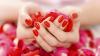 How to beautifully paint your nails with nail polish at home